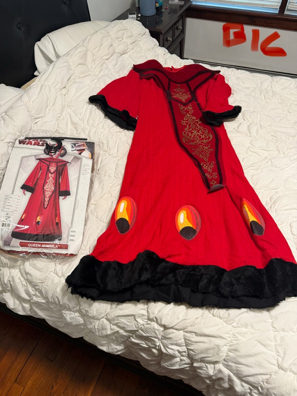 Womens Star Wars Queen Amidala Costume standard